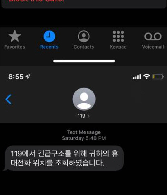 네이트판 '지하철 핫팬츠녀로 기사난 사건의 119 최초 신고자입니다' 게시글 내 119 신고내용 캡처